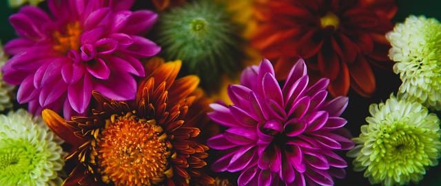 库里刷爆纪录轰38分+9记三分，格兰特8中0躺赢，开拓者双杀勇士